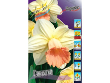 50,1���. ������� �������(�������� ���� �� 5 ��., ����������� ����� 1��.).jpg