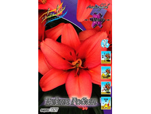 26,7���. ����� ����� �����(��� 5 ��. ���������� ������ 2 ��� 3 ��.).jpg