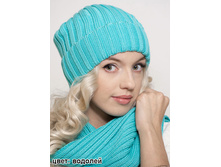 ������ ������ ������� 410