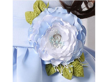 ����� ������ �������