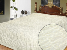 ��������� ������� "����" (��������)