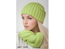 ������ ������ ���� 410