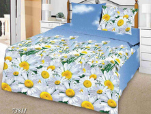 �������� ����� 73811.jpg