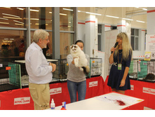 14311364 1102190679862984 7362297558071819830 o.jpg