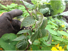 ��������� ����?????