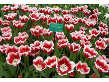 ������� ��� ��� ��� ���� 10,1 ���. �� 1 ��. ����� ����������� ������ 5 ��. (�.�. 5,10,15,20 � �.�.) ��� ������������ ������. ������� ����� ��� ���� � ��������.JPG