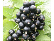 ��������� ������� �2-180�.jpg