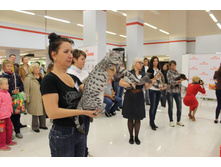 14241591 1102191983196187 4066315798307221111 o.jpg