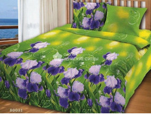 �������� ����� 80081.jpg