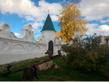 P 20160924 115459.jpg