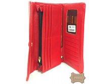 546 ���. ���, ������� 88261 ������ ������.jpeg