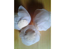 ������� �����