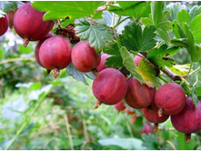 ��������� ������� 2-����� 130���. (�������� 1��).jpeg