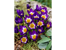 7,26���. ������ �������� (������)(���������� ������ ������ ���������� �� 10 ��.).jpg