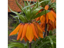 ������ ���. ����� 20-24 (1��) ������ ���� 286,64 ���. ����� ���� 243,64 ���.jpg