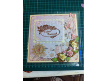 544de2aecc2b9 img0906.jpg