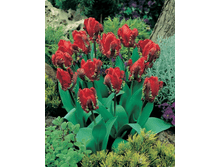 ������� ������ 102,4 ���. ��. (� ��� 5 ��.) �������� � ���� � ���������. ����� ����������� ��������. ������ 1 ��� 2 �������� ��� �����.jpeg � �.�.) ��� ��������� ������. ������� ����� ��� ���� � ��������.png