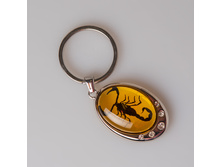 ������ �������� 182014 100 ���.jpg