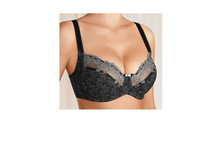 Arlette ����������� ������ ��������� 740,00
