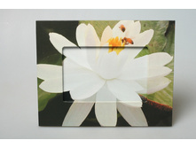 ��������� �������� 19574 199 ���.jpg