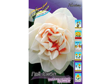 91,3���. ������� ��� ����.jpg