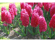 ������� �� ��� 14-15 ������� (5��) ������ ���� 169,51 ���. ����� ���� 144,08 ���.jpg