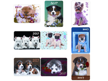 ��������� ��������� �����, ��������� ���������, 2017 �. 1,7.jpg