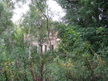 IMG 6965.JPG