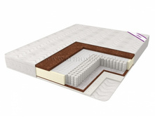 ������ ������