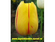 ������� ����� �������� 12+ (5��) ������ ���� 196,26 ���. ����� ���� 167 ���