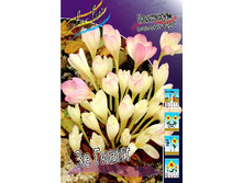 86,85���. �������� �� ����� (����������.)(�������� ���� �� 2 ��., ����������� ����� 1��.).jpg