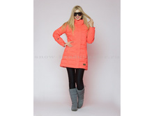 �-8165 ����������