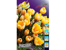 4,96���. ������ ������ (����.)(���������� ������ ������ ���������� �� 15 ��.).jpg