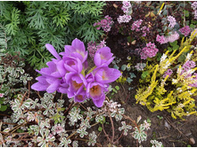 �������� �������