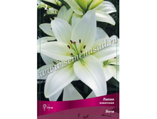 ����� ����.jpg