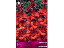 ��������� ����� ����.jpg