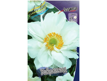 84,5���. ������� ���������(�������� ���� �� 2 ��., ����������� ����� 1��.).jpg