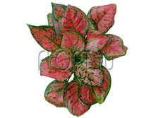 ��������� ������ ������� 12�25. 643,65 ���.jpg