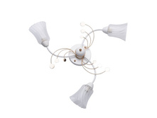 356017903 1600�.jpg