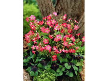 2,68���. ������� ����� �����(���������� ������ ������ ���������� �� 15 ��.).jpg