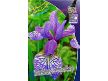 54,45���. ���� ��������� ������� ������(�������� ���� �� 2 ��., ����������� ����� 1��.).jpg