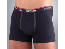 DIWARI (� ��������) MSH 147.jpg