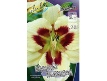 101,85���. �������� ������� ��������(�������� ���� �� 2 ��., ����������� ����� 1��.).jpg