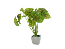 ������ � ������ "�����������" 26�� ������: 7136