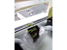 IMG 20161018 104233.jpg