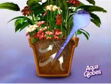 ���������� ��� ����������