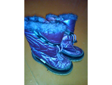 ������. 29 ������. ������.