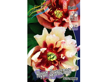 2857,4���. ���� ���� ������� (���)(�������� ���� �� 1 ��., ����������� ����� 1��.).jpg