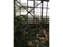 DSCF8070.JPG