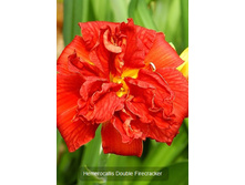 172,1���. �������� ���� ����������(�������� ���� �� 1 ��., ����������� ����� 1��.).jpg